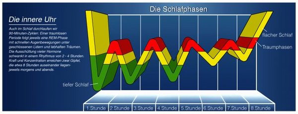 Zuckungen im Schlaf