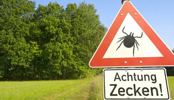 Schild, das vor Zecken, welche den Borrelien-Erreger übertragen, warnt