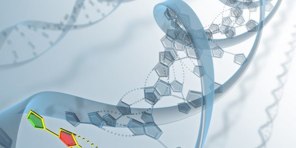 Bei der Trisomie 13 handelt es sich um eine genetische Erkrankung