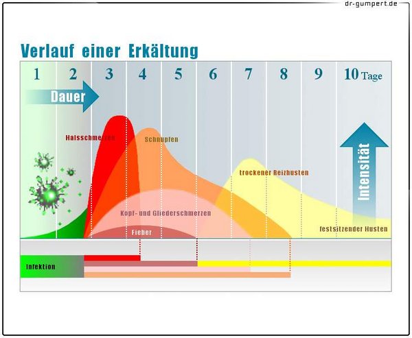 Verlauf einer Erkältung