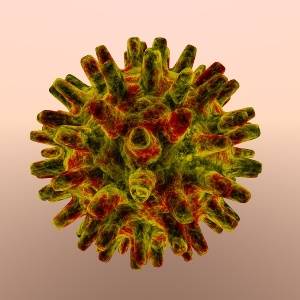 Epstein-Barr-Virus