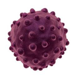 Kosten hepatitis a impfung