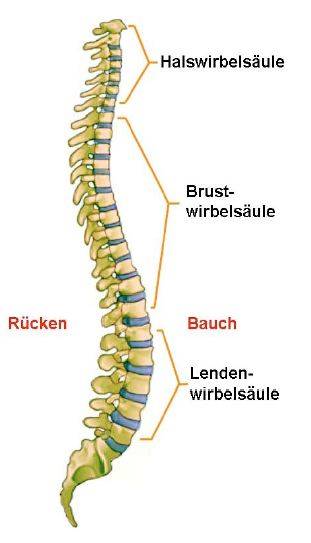 Leseprobe Buch BSV